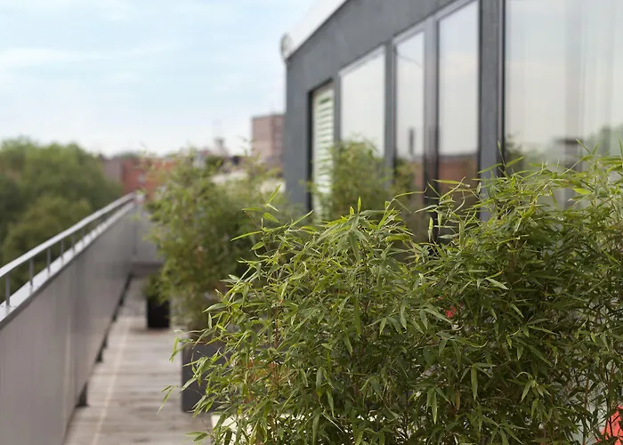 The Flushing Meadows