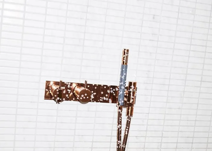 The Flushing Meadows