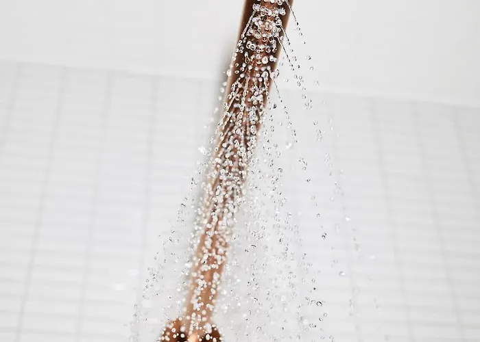 Hotell The Flushing Meadows 4*